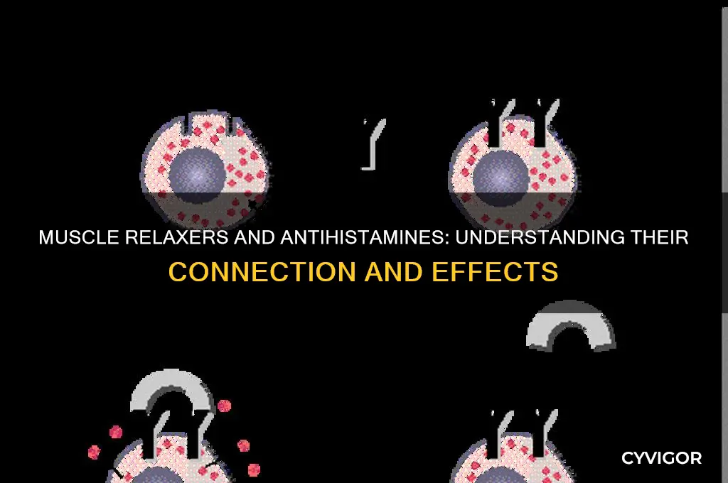 does muscle relaxers have antihistamine
