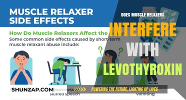 Muscle Relaxers and Levothyroxine: Potential Interactions and Effects Explained