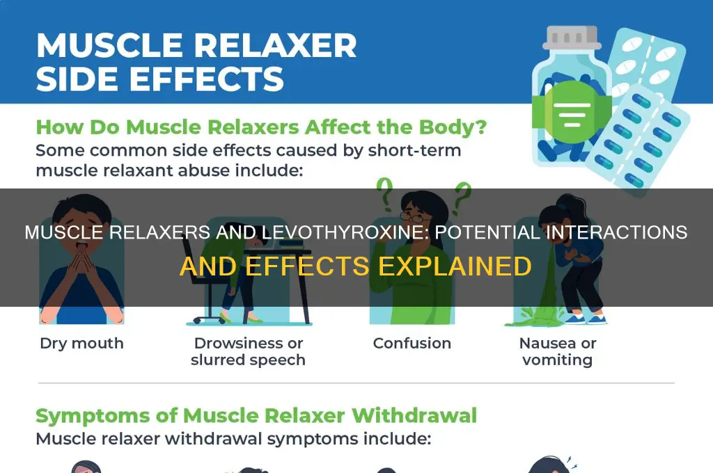 does muscle relaxers interfere with levothyroxine