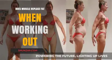 Muscle vs. Fat: Understanding Body Composition Changes During Workouts