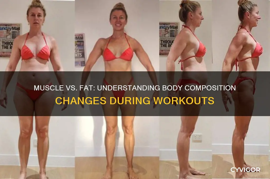 does muscle replace fat when working out