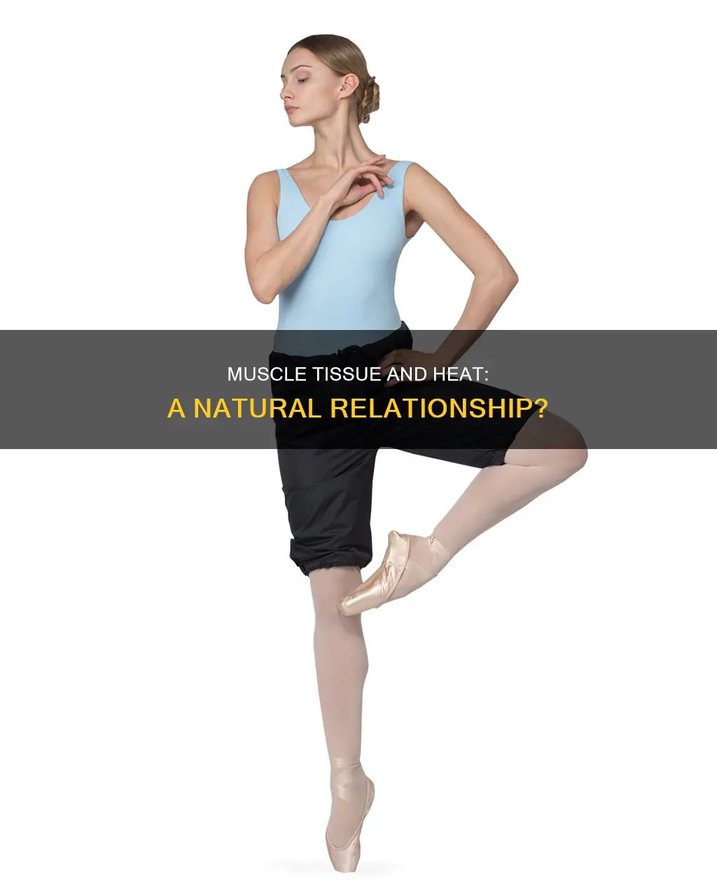 does muscle retain heat