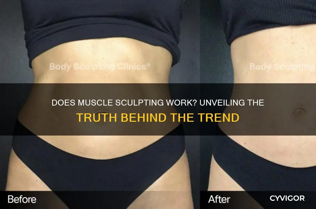 does muscle sculpting work