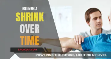 Muscle Maintenance: Can Muscles Shrink Over Time?