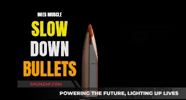 How Muscles React to Bullets: A Scientific Inquiry