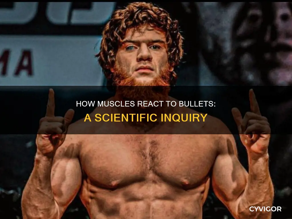 does muscle slow down bullets
