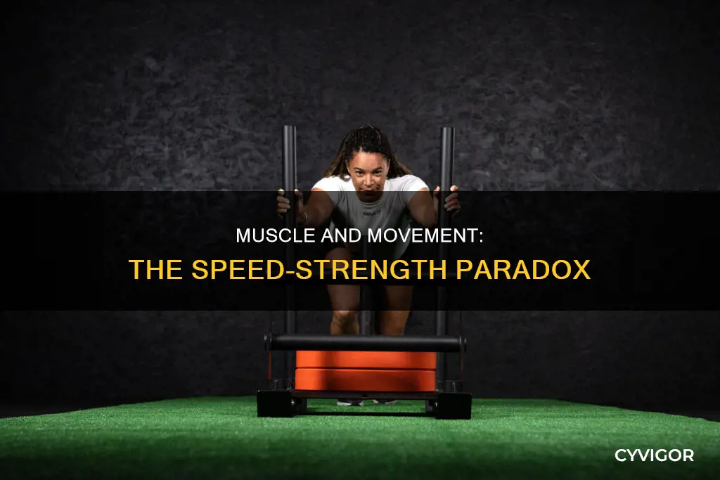 does muscle slow you down