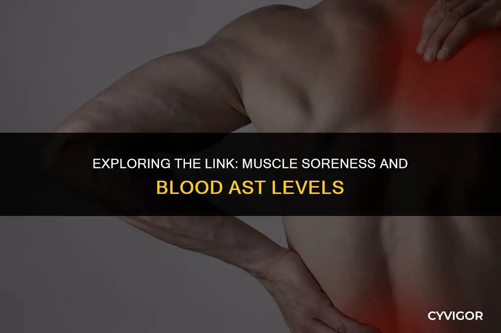 does muscle soreness affect blood ast levels