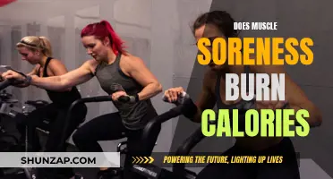 Muscle Soreness and Calorie Burn: Is There a Link?