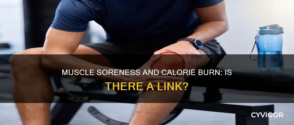 does muscle soreness burn calories