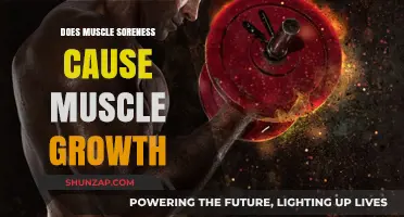 Muscle Soreness: Does It Lead to Muscle Growth?