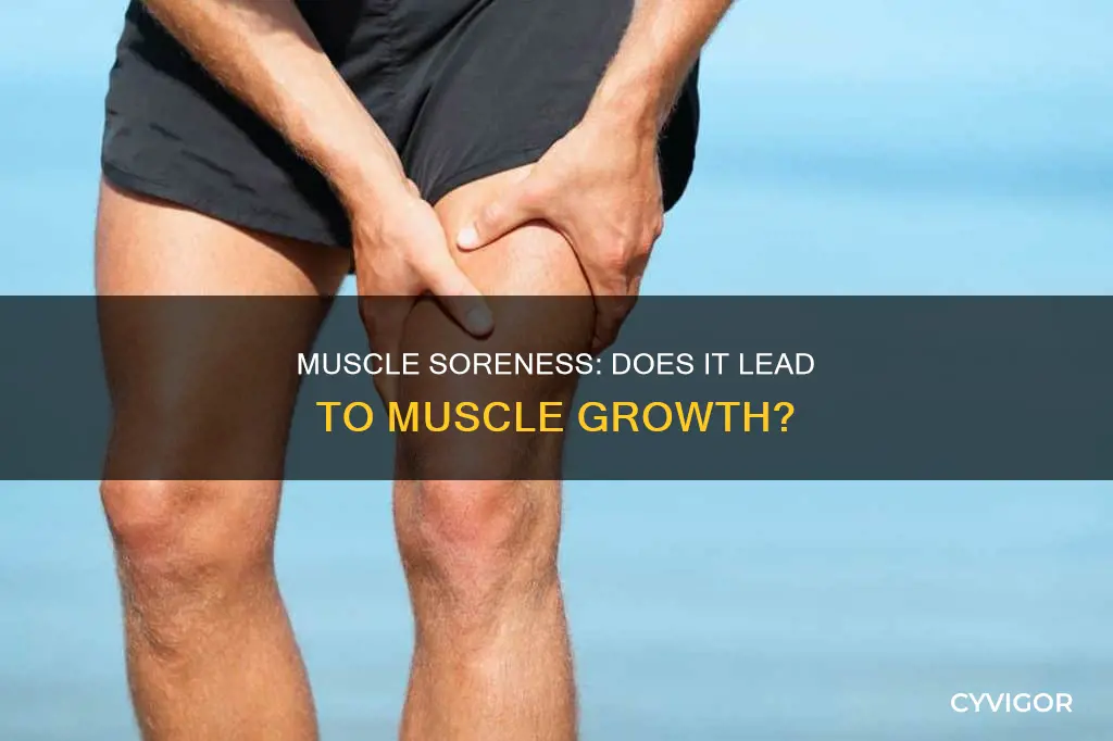 does muscle soreness cause muscle growth
