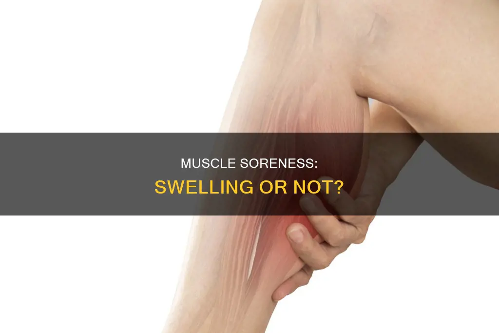 does muscle soreness cause swelling