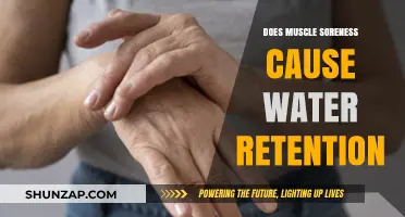 Muscle Soreness: Water Retention or Something Else?