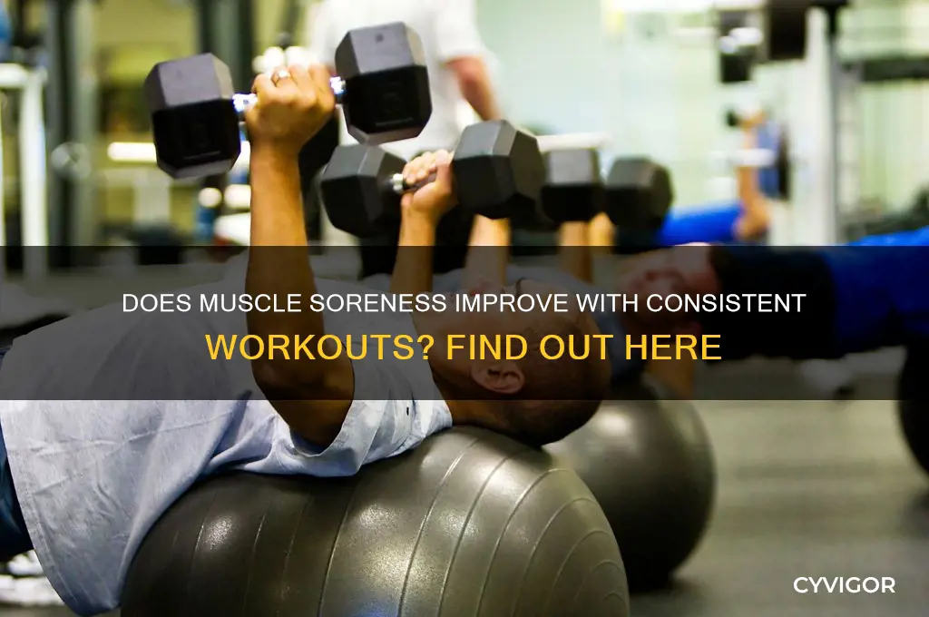 does muscle soreness get better the more you work out