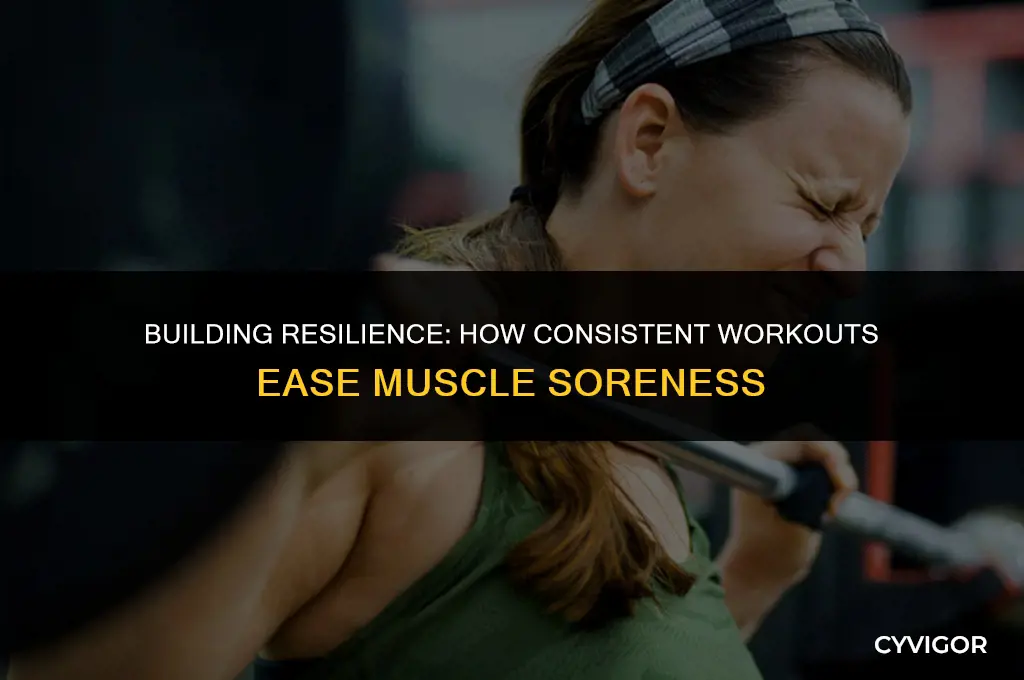 does muscle soreness get better the more you workout