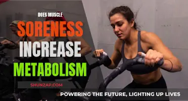 Muscle Soreness and Metabolism: What's the Connection?