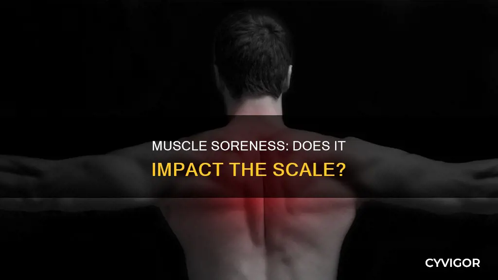 does muscle soreness increase weight