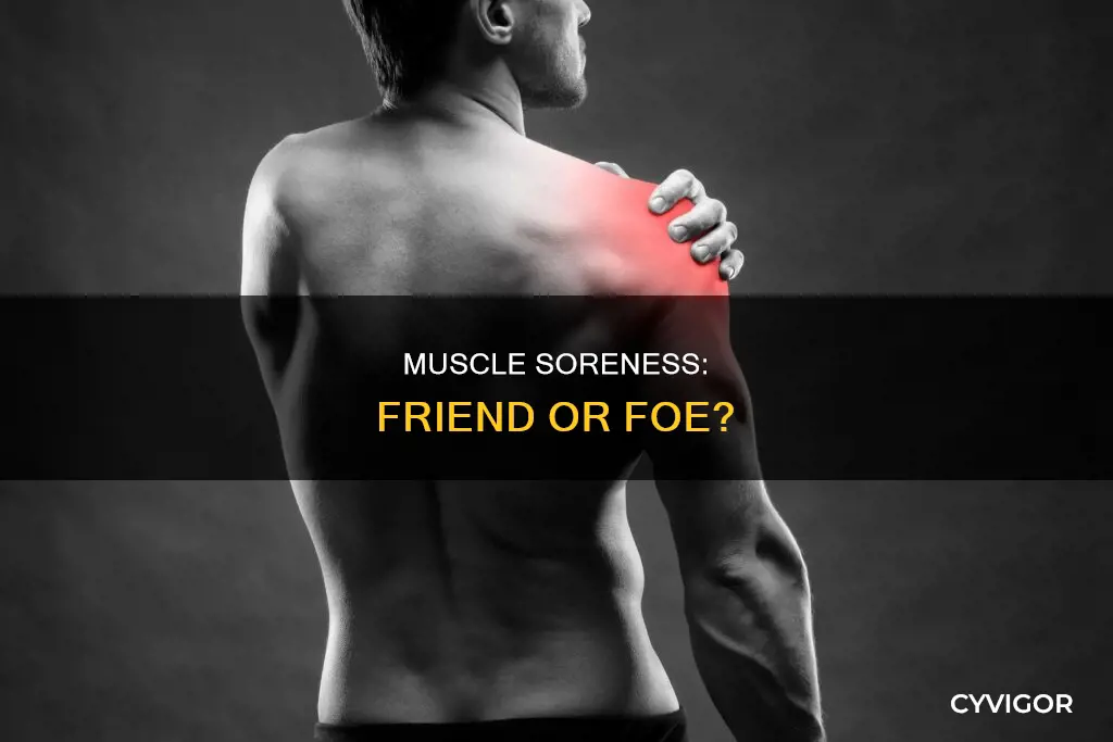 does muscle soreness matter