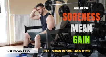 Does Muscle Soreness Indicate Muscle Growth? Debunking Fitness Myths