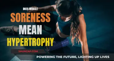 Muscle Soreness and Hypertrophy: What's the Real Connection?