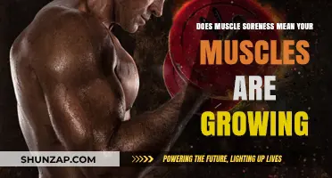 Muscle Soreness and Growth: Understanding the Connection and Myths
