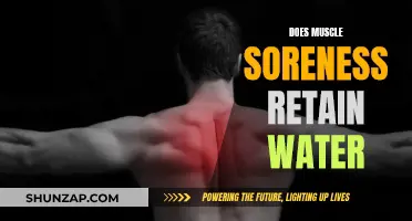 Muscle Soreness: Can It Cause Water Retention?