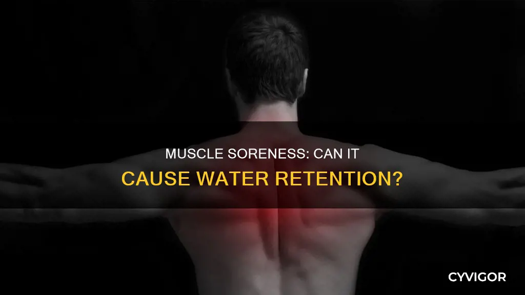 does muscle soreness retain water