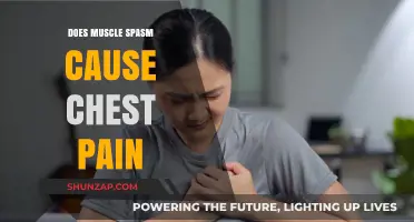 Muscle Spasms: Can They Cause Chest Pain?