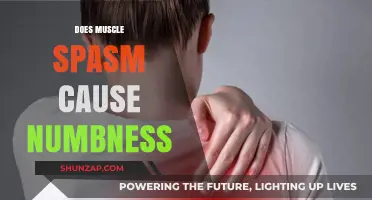 Muscle Spasms: Can They Cause Numbness?