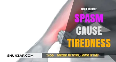 Muscle Spasms: Can They Cause Fatigue and Exhaustion?
