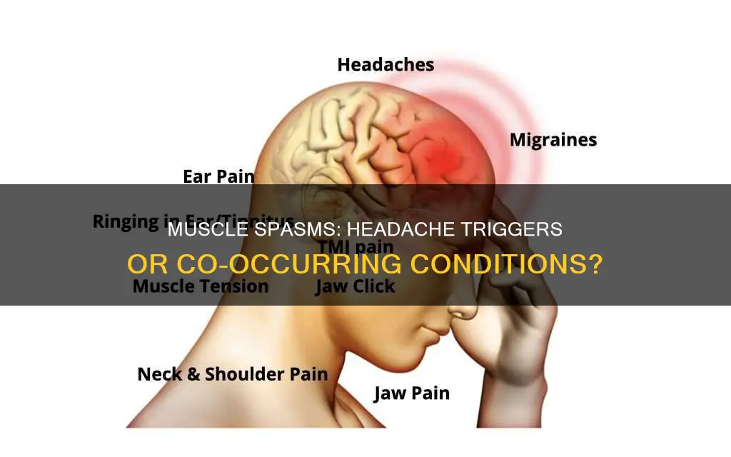 does muscle spasms cause headaches