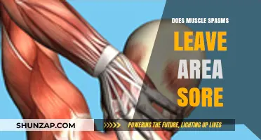 Muscle Spasms Aftermath: Understanding Soreness and Recovery in Affected Areas