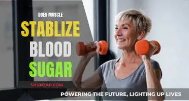 Muscle Strength: Stabilizing Blood Sugar and You