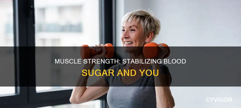 does muscle stablize blood sugar