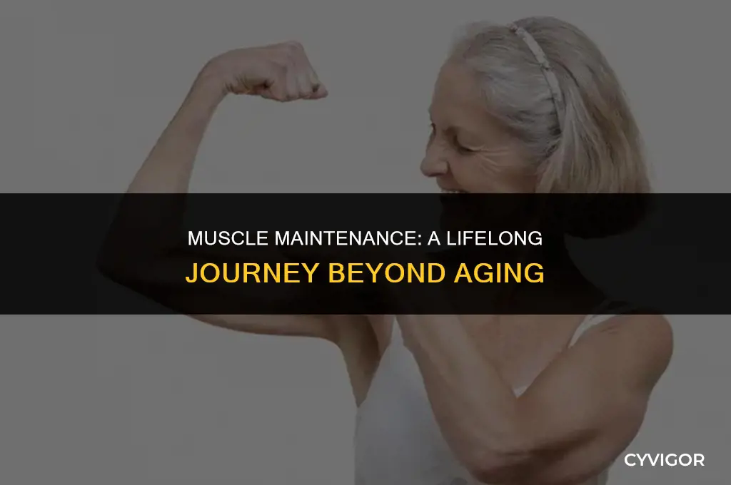 does muscle stay as your get older