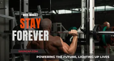 Building Muscle: A Permanent Transformation or Temporary Gain?