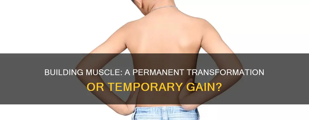 does muscle stay forever