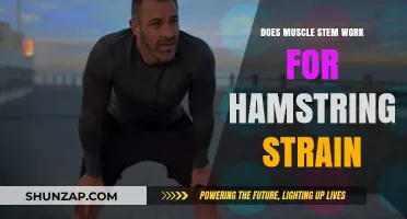 Muscle Stem Cell Therapy: Effective Treatment for Hamstring Strain Recovery?
