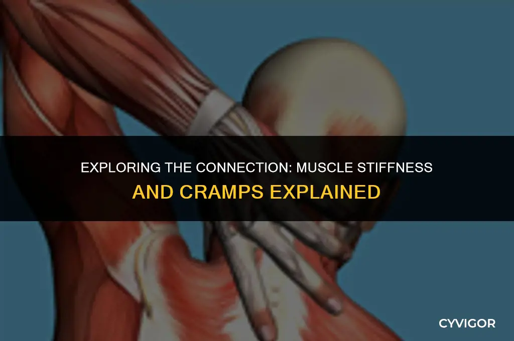 does muscle stiffness lead to cramps