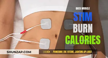 Muscle Stim: Effective Calorie Burn or Myth?
