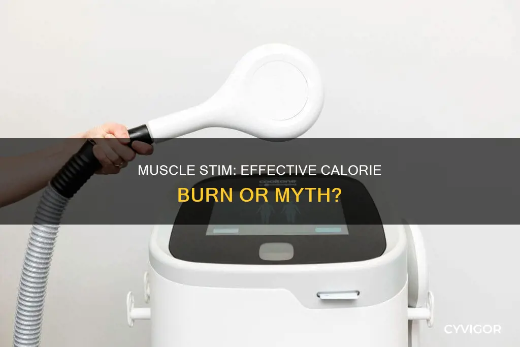 does muscle stim burn calories