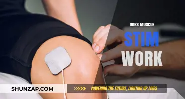 Does Muscle Stimulation Really Work? Uncovering the Truth and Benefits