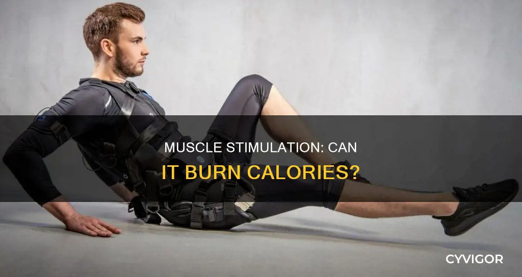 does muscle stimulation burn calories