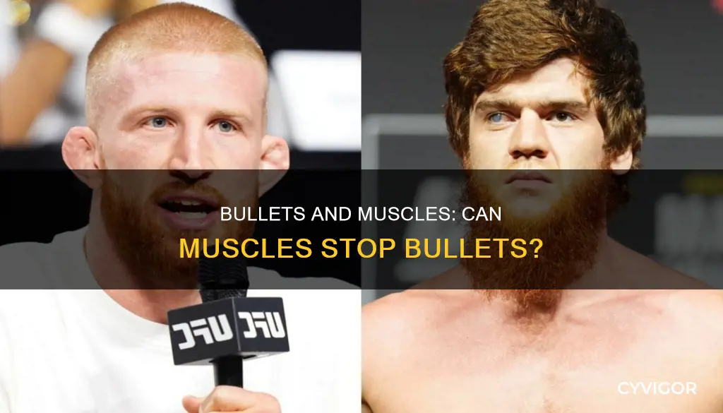 does muscle stop a bullet