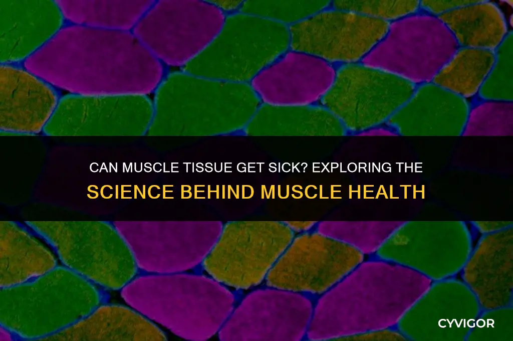 does muscle stop from getting sick