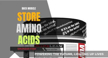 Muscle Tissue and Amino Acid Storage