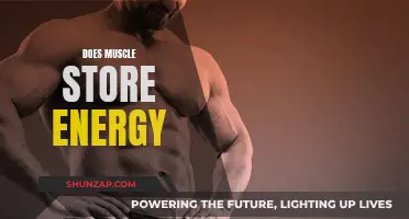 Muscle Energy Storage: Fact or Fiction?