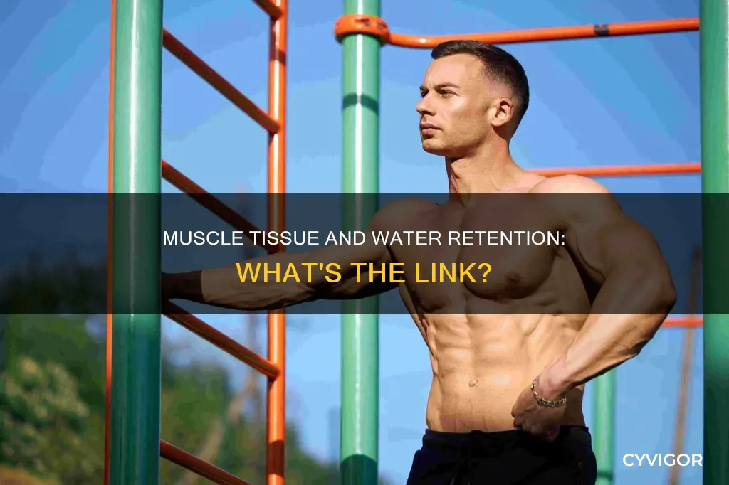 does muscle store water