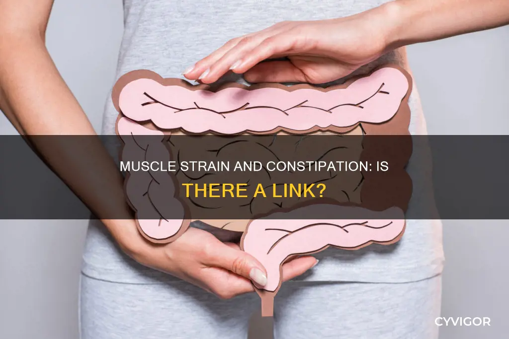 does muscle strain cause constipation